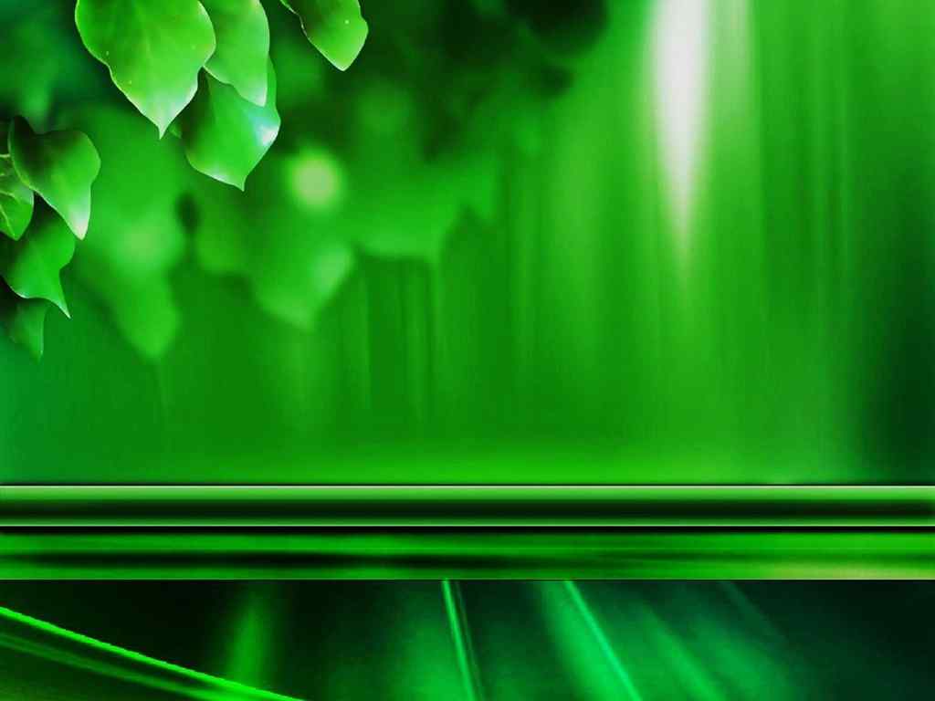绿色植物桌面壁纸